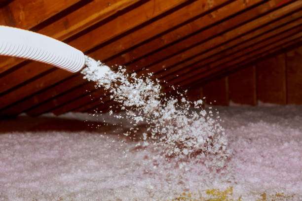 Types of Insulation We Offer in Deridder, LA