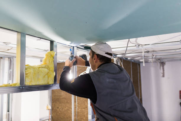 Best Specialized Insulation Services in Deridder, LA