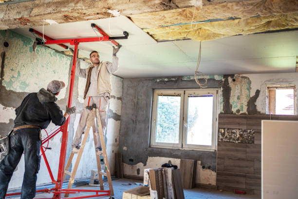 Best Geographic-Specific Insulation Services in Deridder, LA